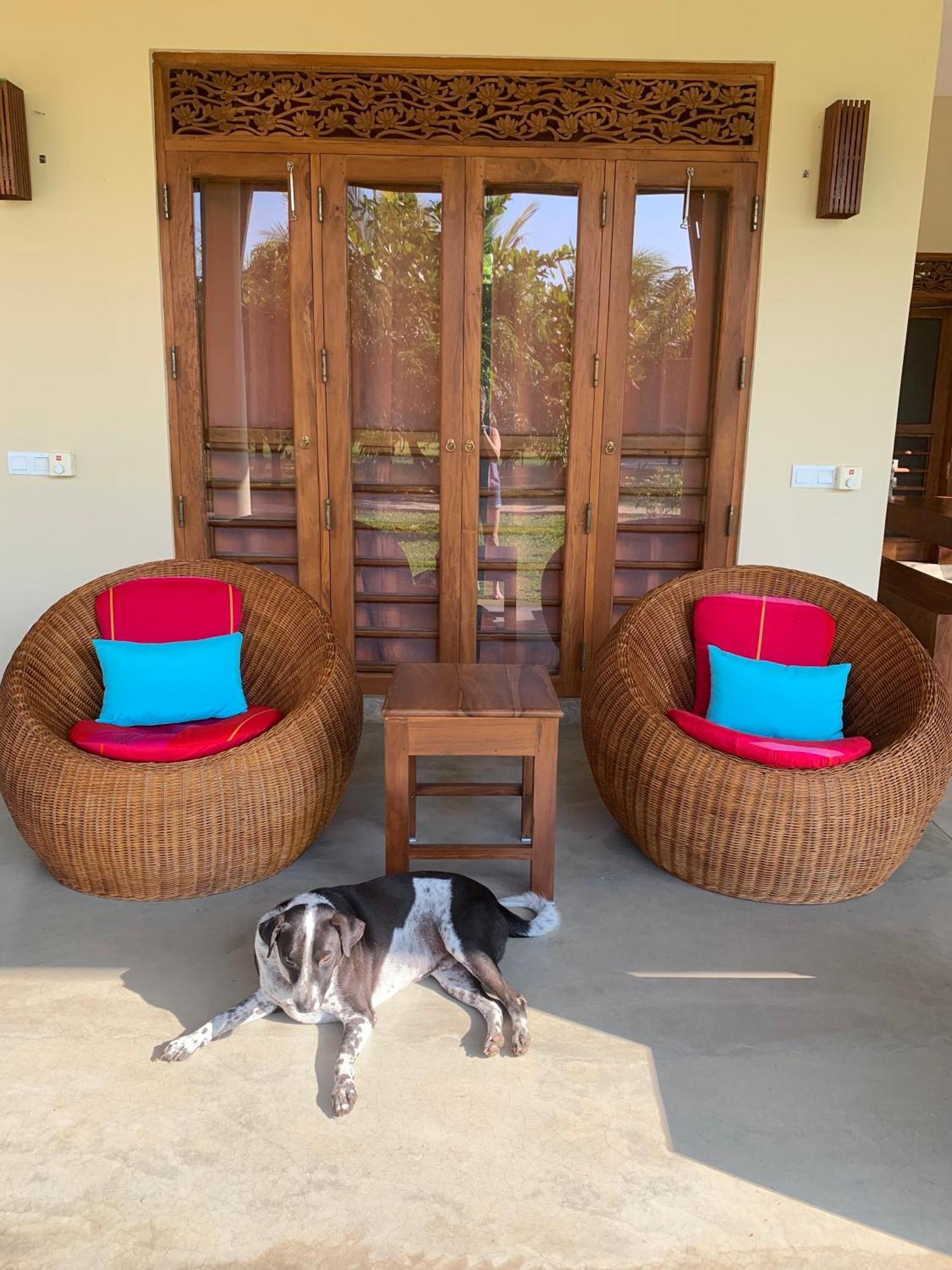 Wild Lotus Yala Villa Tissamaharama Eksteriør bilde